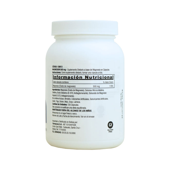 Suplemento Gnc Magnesium 500Mg X 120 Cápsulas