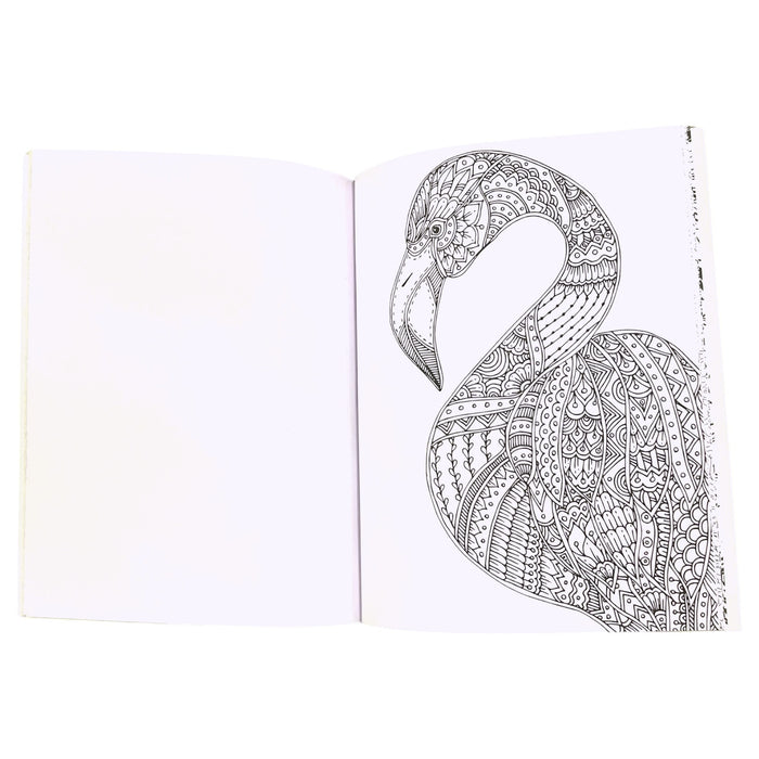 Libro Para Colorear Rito Therapy Antistress Birds X 24 Páginas