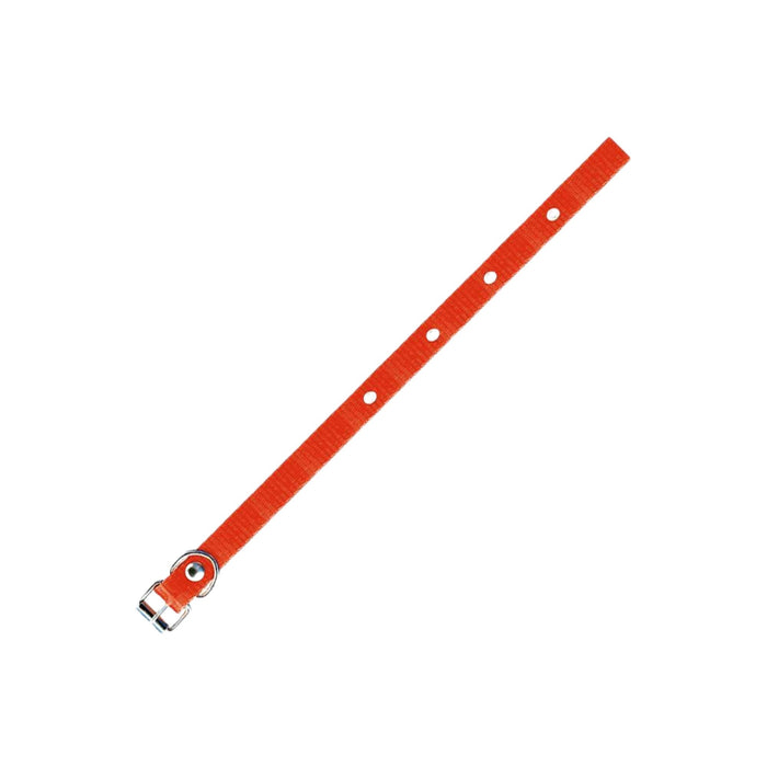 Collar De Seda Furacaopet Simple N2 15Mm